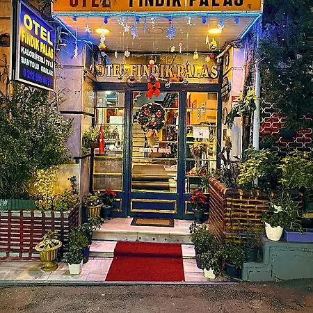 Hotel Findik *